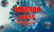 Omicron XBB.1.5 biến thể phụ gây làn sóng Covid mới tại Mỹ