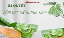 Bí quyết làm đẹp bằng nha đam nhất định bạn phải biết