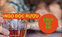 Xử trí, phòng tránh ngộ độc rượu ngày Tết để bảo vệ sức khỏe