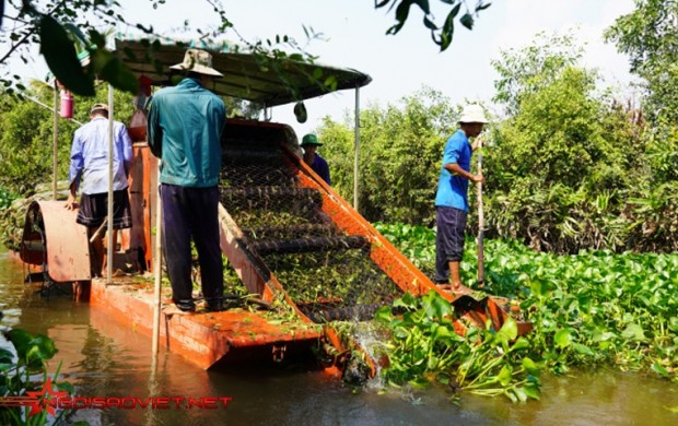 Chi gần 14 tỷ đồng cho dự án nghiên cứu máy vớt lục bình tại Long An