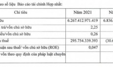 Công ty xi măng của em trai bầu Thụy báo lỗ cả chục tỷ đồng