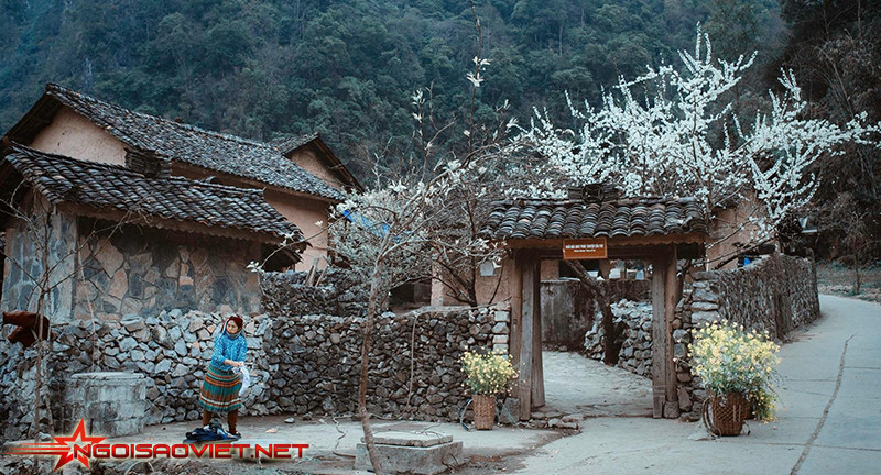 Nhà của Pao