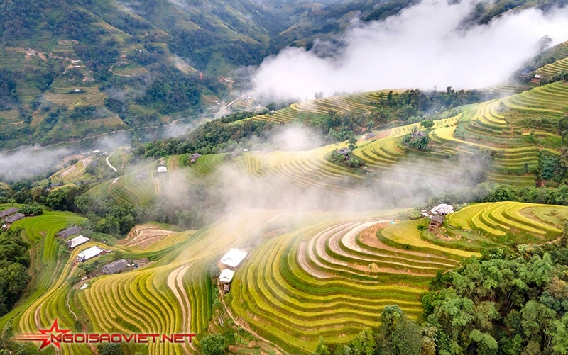 Hoàng Su Phì