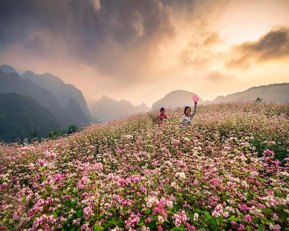 Vẻ đẹp mong manh, mộng mơ lại được tô điểm thêm bởi sự ngây thơ trong sáng của những bé gái người dân tộc thiểu số đang mải mê đuổi bắt