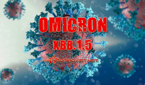 Biến chủng Omicron XBB.1.5