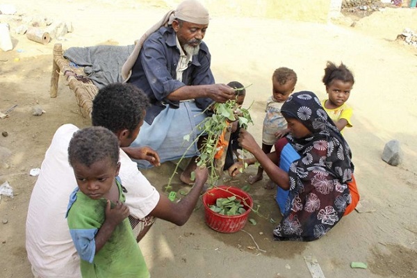 Người dân ăn lá cây cầm cự trong nạn đói ở Yemen