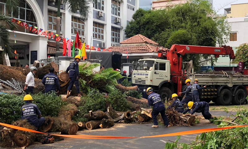 Hiện trường vụ cây xanh bật gốc đổ đè lên nhiều người