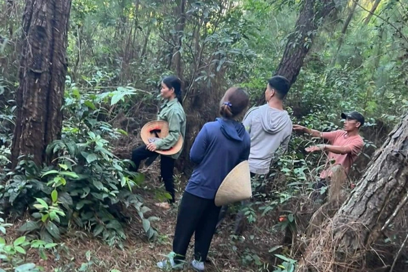 người dân đi tìm kiềm tại nhưng khu rùng gần nhà 