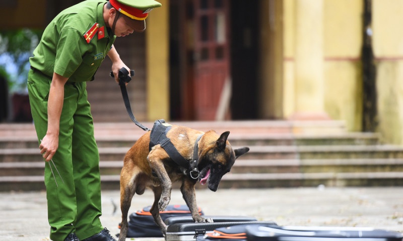 Trường Trung cấp 24 Biên phòng đào tạo chó nghiệp vụ