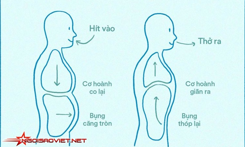 Bài tập hít thở khi ngồi trên ghế