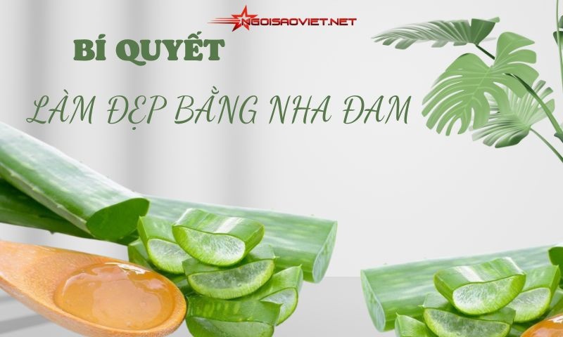 Bí quyết làm đẹp bằng nha đam giúp cải thiện làn da