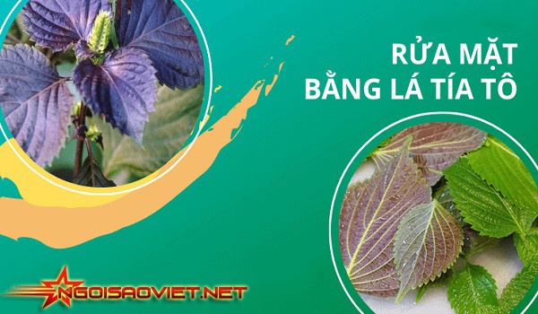 Rửa mặt - bước đầu quan trọng trong làm đẹp bằng lá tía tô