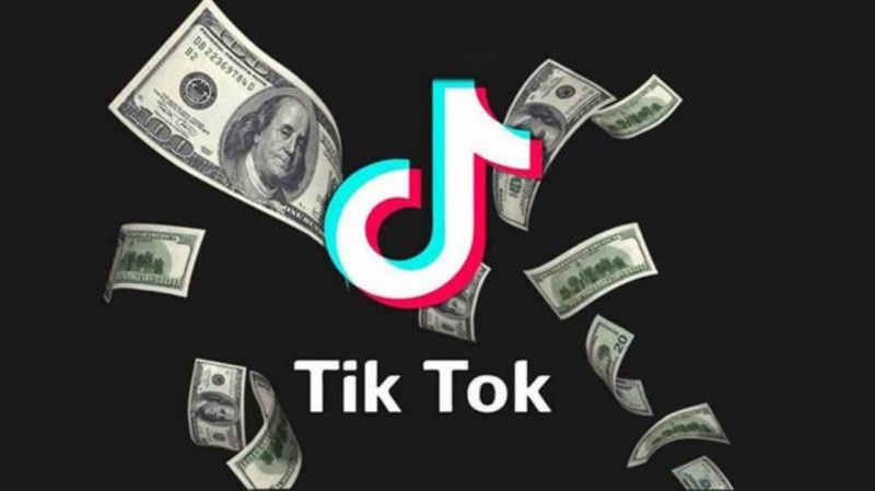 Những tấm gương kiếm tiền từ Tiktok gây áp lực cho giới trẻ