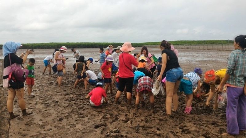 Hàng năm có rất nhiều đoàn học sinh tham gia trải nghiệm bắt ngao tại VQG Xuân Thuỷ